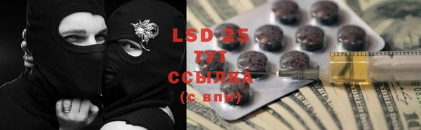 ГАЛЛЮЦИНОГЕННЫЕ ГРИБЫ Алексин