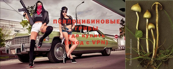 ГАЛЛЮЦИНОГЕННЫЕ ГРИБЫ Алексин