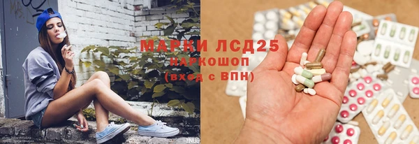 ГАЛЛЮЦИНОГЕННЫЕ ГРИБЫ Алексин